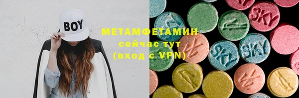 индика Алексин