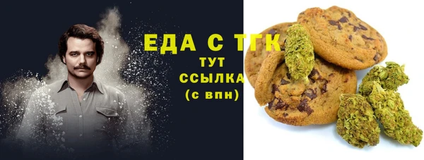индика Алексин