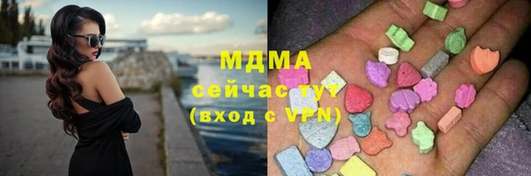 индика Алексин