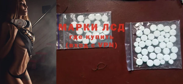 индика Алексин