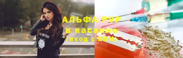 индика Алексин
