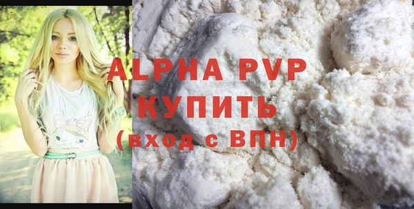индика Алексин