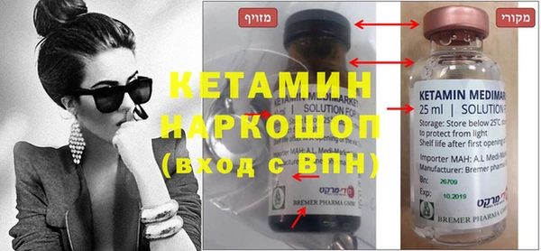 индика Алексин