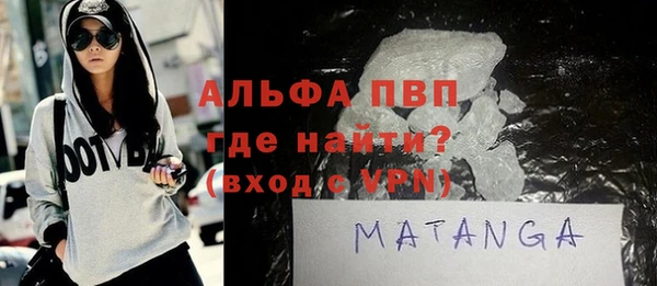 индика Алексин