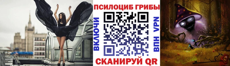 Галлюциногенные грибы прущие грибы  блэк спрут как войти  Нижнеудинск  купить наркотики цена 