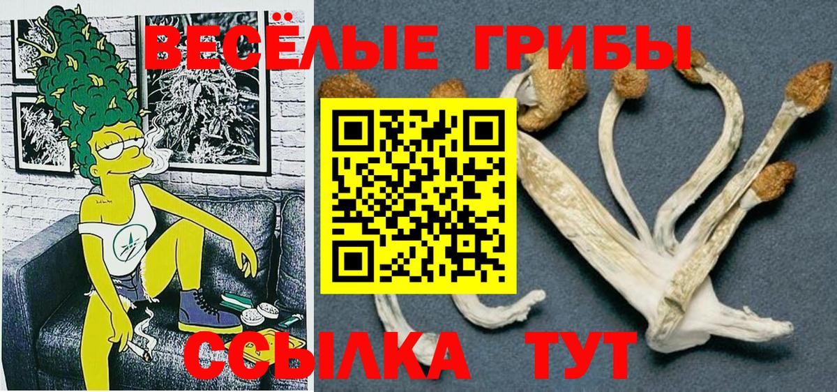 Галлюциногенные грибы прущие грибы  Вход с VPN  закладки  Нижнеудинск 